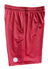 Mens Graphic Lacrosse Shorts Red